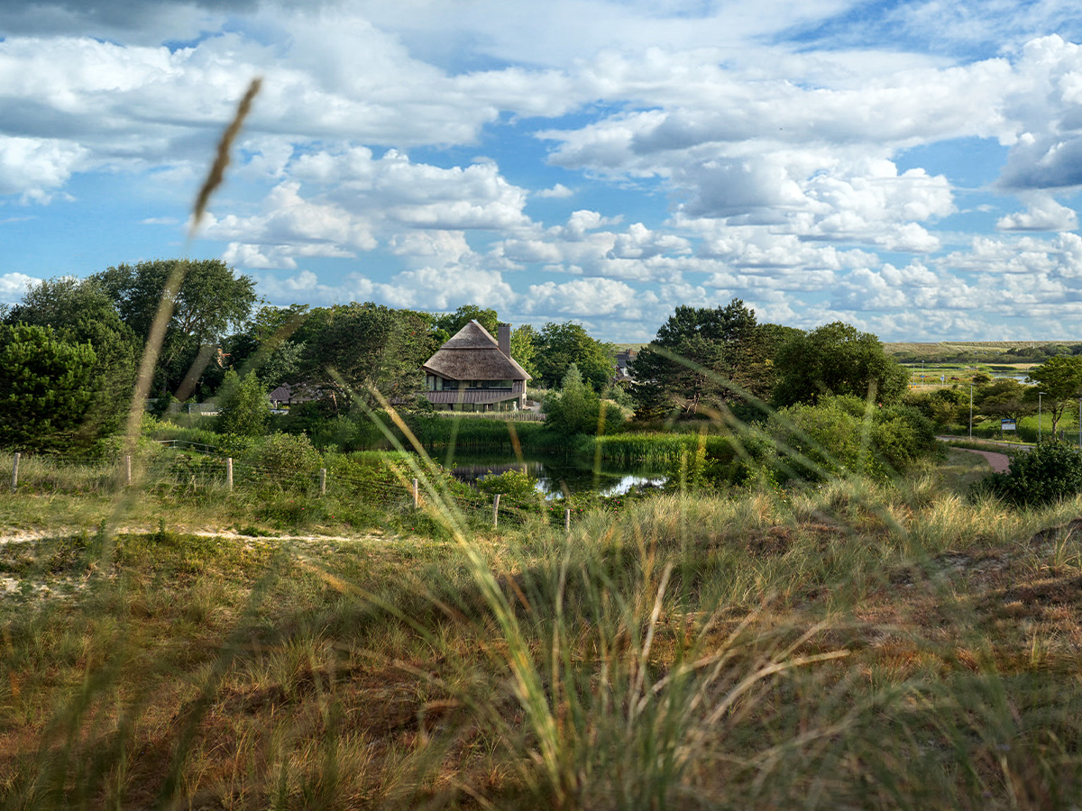 Villa Huisduinen, Duinvilla, Rietdak, natuursteen